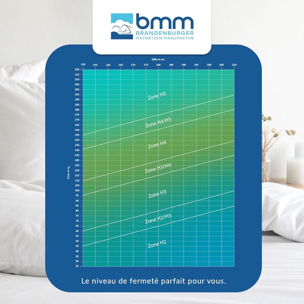 BMM Matelas Ortho Medic 160x200 cm avec Noyau à Ressorts ensachés Niveau de fermeté H4/certifié Öko-Tex/Matelas Ergonomique à 7 Zones Hauteur 21 cm/Matelas fabriqués en Allemagne