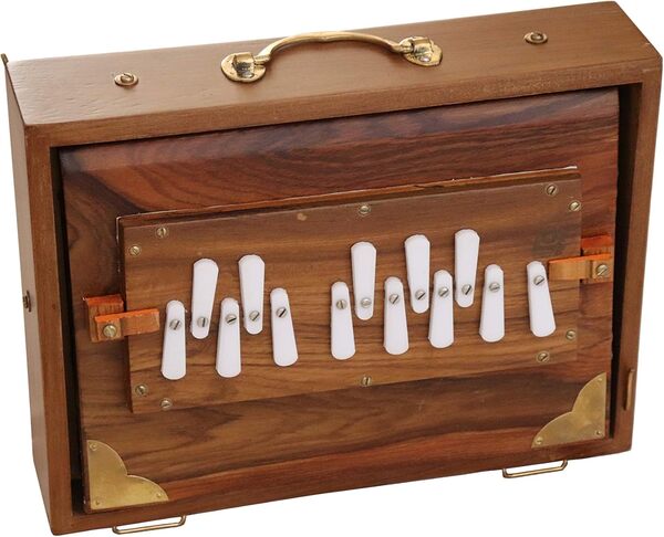 Shruti Box Raga Mini Professionnel en Teck - Gamme de Do à Do (3 à 4), 30 x 22 x 8,5 cm, 2 kg, Accordage 440 Hz