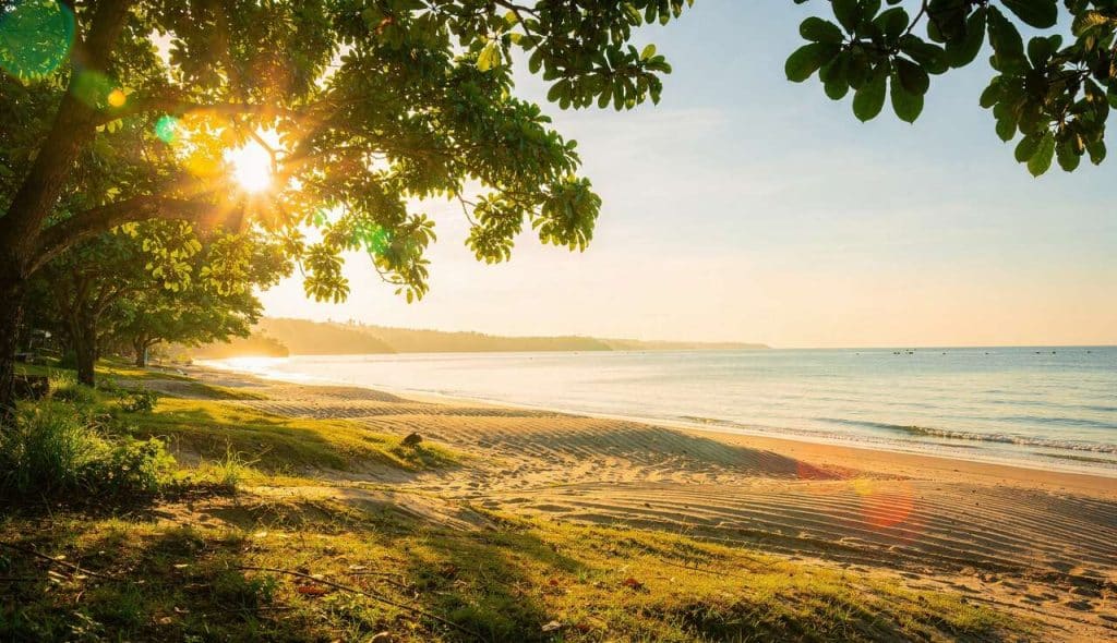 Vitamine D : renforcez Votre Immunité Naturellement